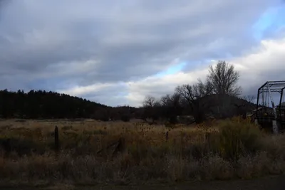 DSC_2938 (Large).JPG